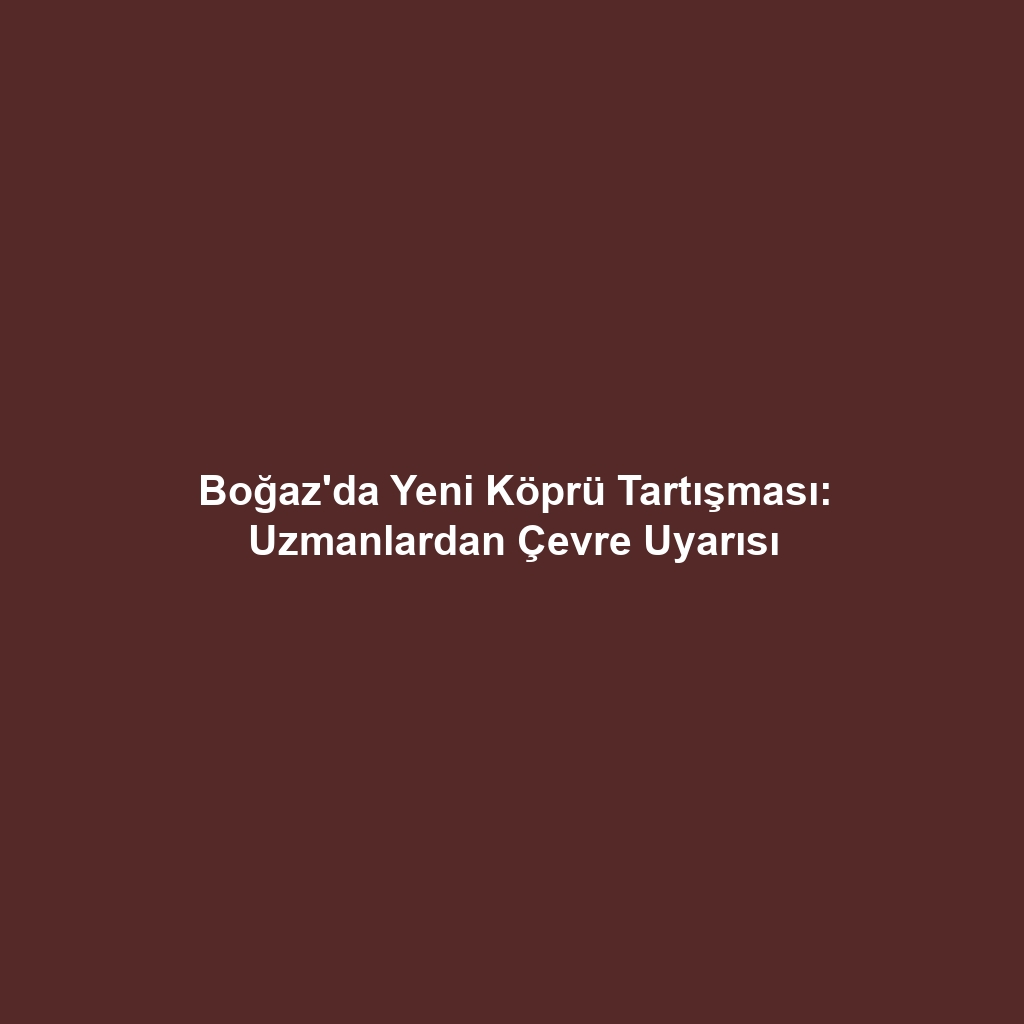 Boğaz'da Yeni Köprü Tartışması: Uzmanlardan Çevre Uyarısı